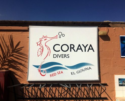 Logo 3