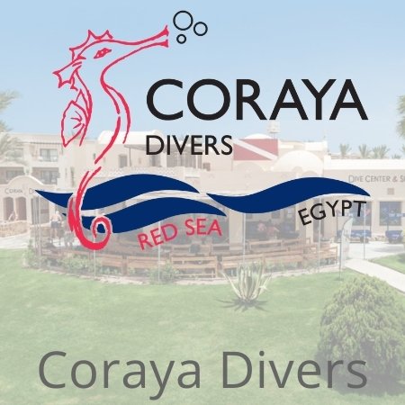 Dive base Coraya Divers