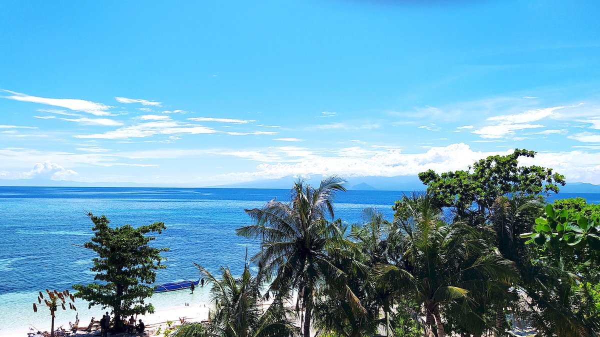 Coraya Divers turning tropical? - [EN] Coraya-Divers