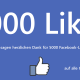 5000 Facebook Likes