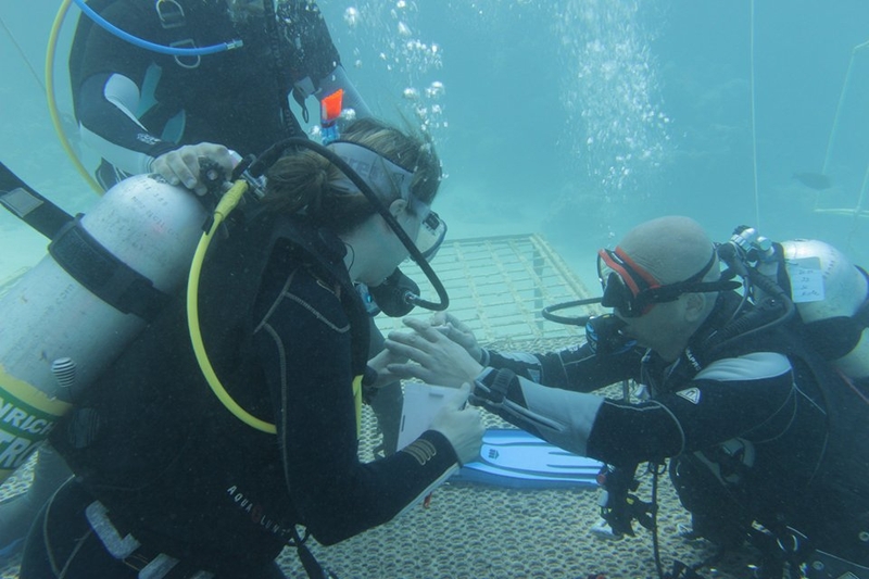 Heiratsantrag_unter_Wasser_1