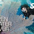 SSI Open Water Diver