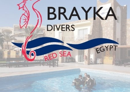 Brayka Divers