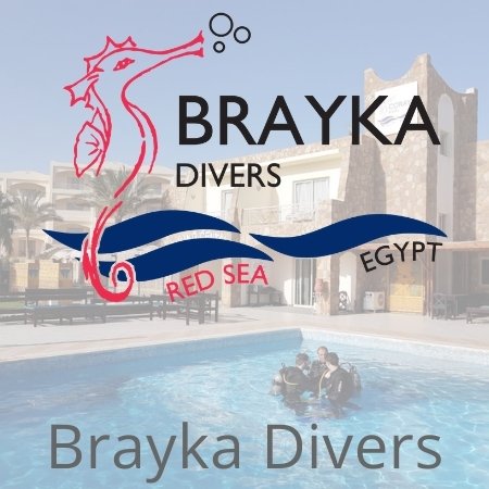 Tauchbasis Brayka Divers
