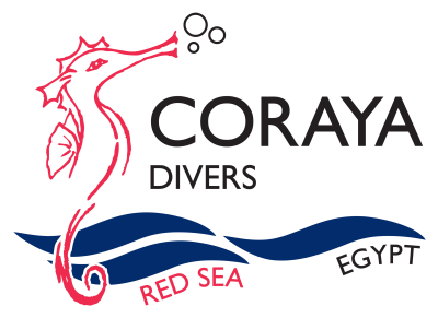 Coraya Divers